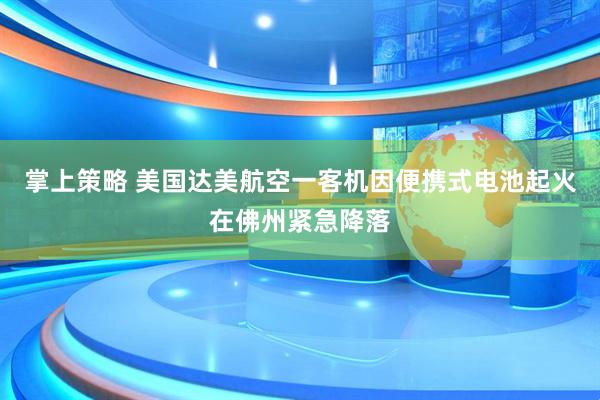 掌上策略 美国达美航空一客机因便携式电池起火在佛州紧急降落