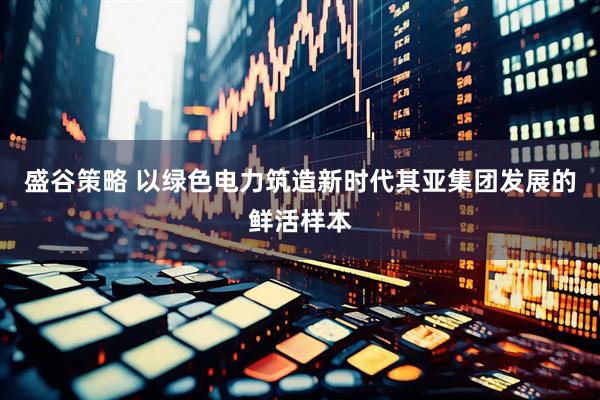 盛谷策略 以绿色电力筑造新时代其亚集团发展的鲜活样本