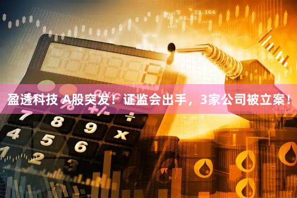 盈透科技 A股突发！证监会出手，3家公司被立案！