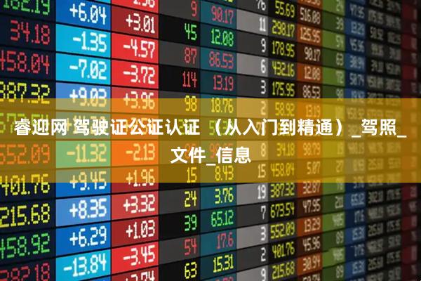 睿迎网 驾驶证公证认证 （从入门到精通）_驾照_文件_信息