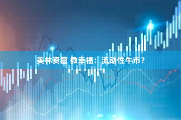 美林资管 微幸福：流动性牛市？