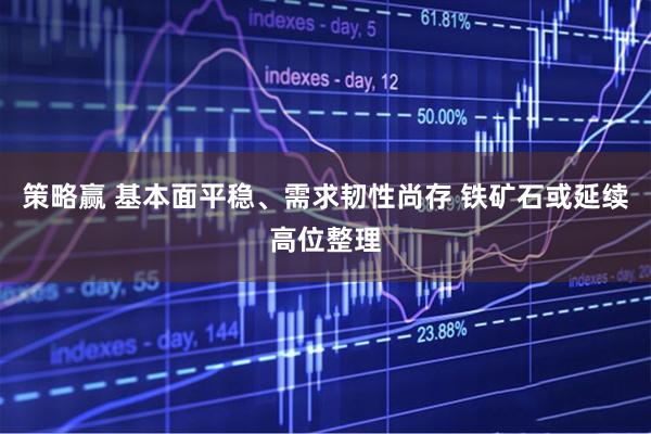 策略赢 基本面平稳、需求韧性尚存 铁矿石或延续高位整理