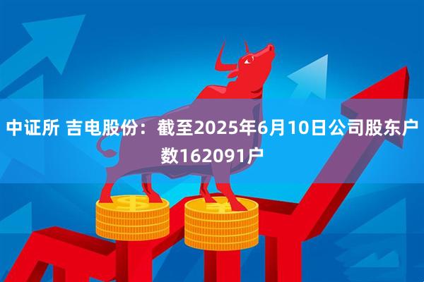 中证所 吉电股份：截至2025年6月10日公司股东户数162091户