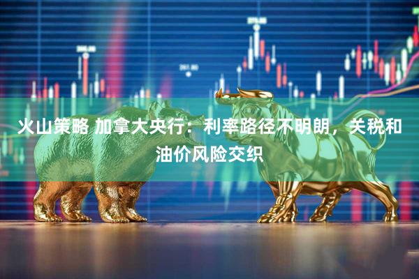 火山策略 加拿大央行：利率路径不明朗，关税和油价风险交织